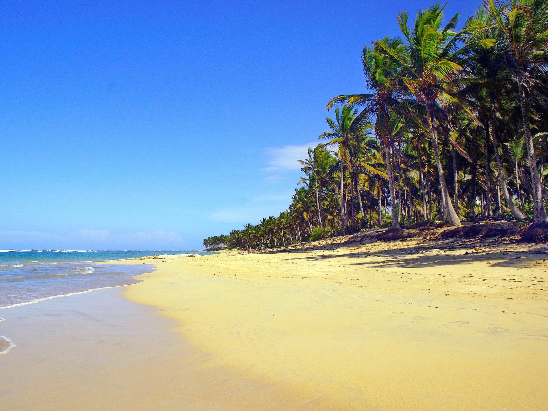 Beach in Punta Cana