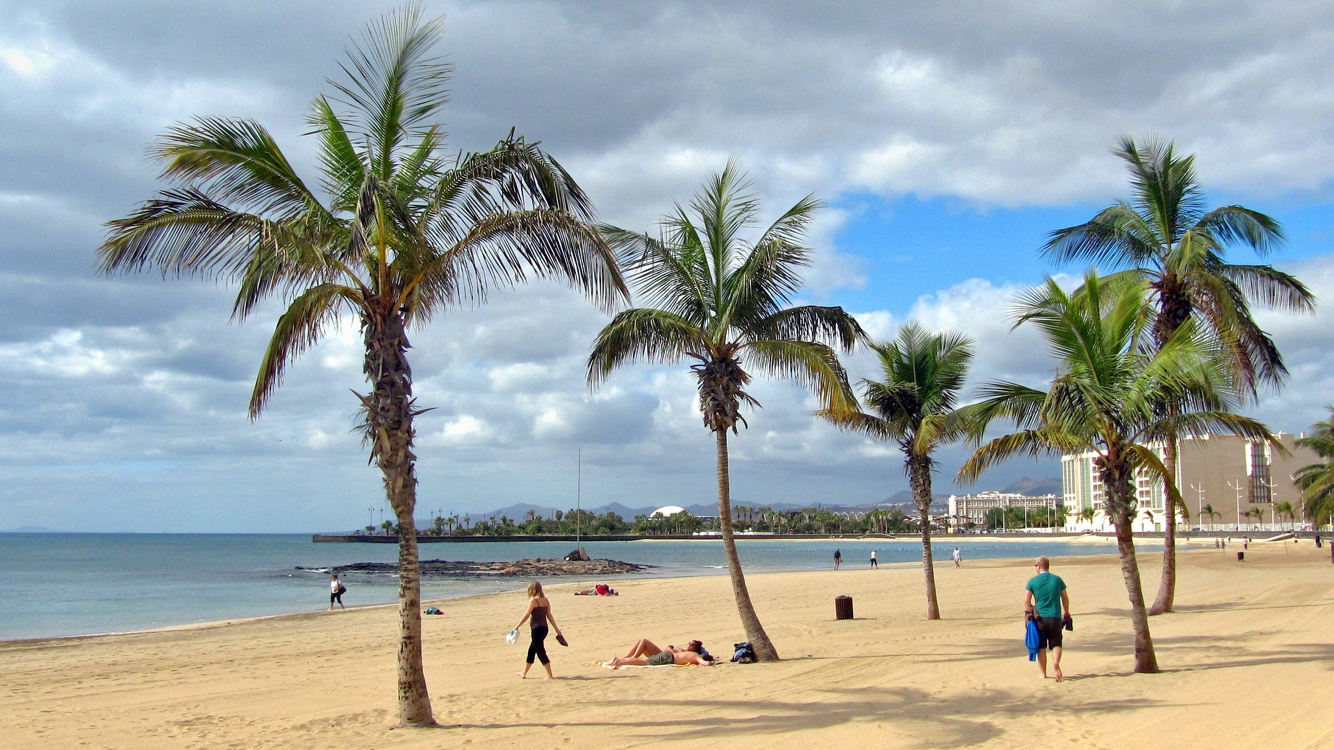 lanzarote beach palm trees