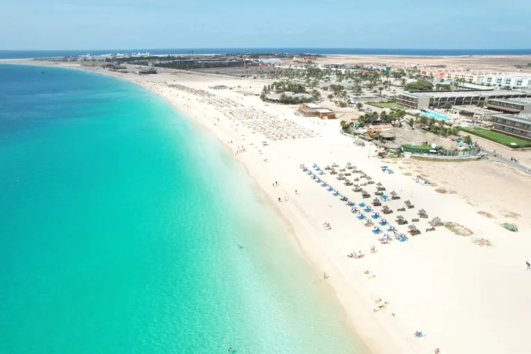 Bugs, Bacteria and Bedlam: Cape Verde Holiday Resorts Under Fire